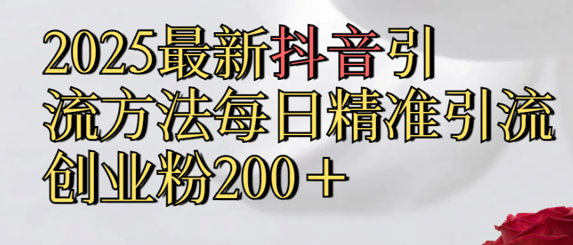 2025最新抖音引流,方法每日精准引流创业粉300+