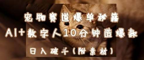 宠物赛道爆单秘籍：AI+数字人10分钟造爆款，日入1k