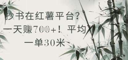 抄书在小红薯平台？平均一单30米，一天收益几张！