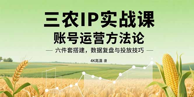 （15864期）三农IP实战课：账号运营方法论，六件套搭建，数据复盘与投放技巧