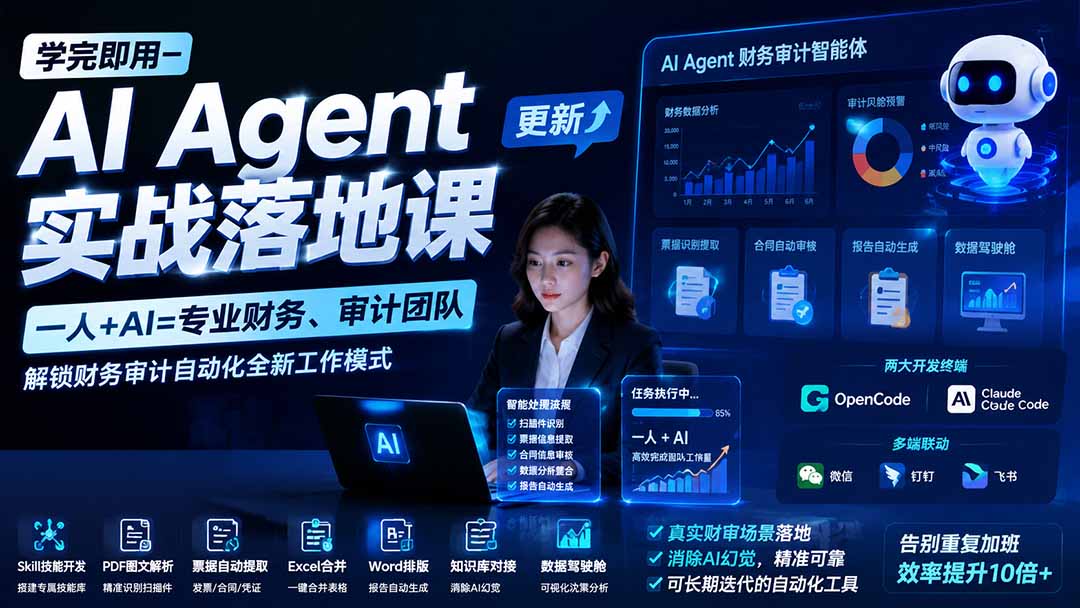 （19702期）学完即用—AI Agent实战落地课-更新：一人+AI=专业财务、审计团队，解锁财务审计自动化全新工作模式