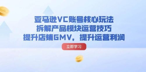 （11848期）亚马逊VC账号核心玩法，拆解产品模块运营技巧，提升店铺GMV，提升运营利润