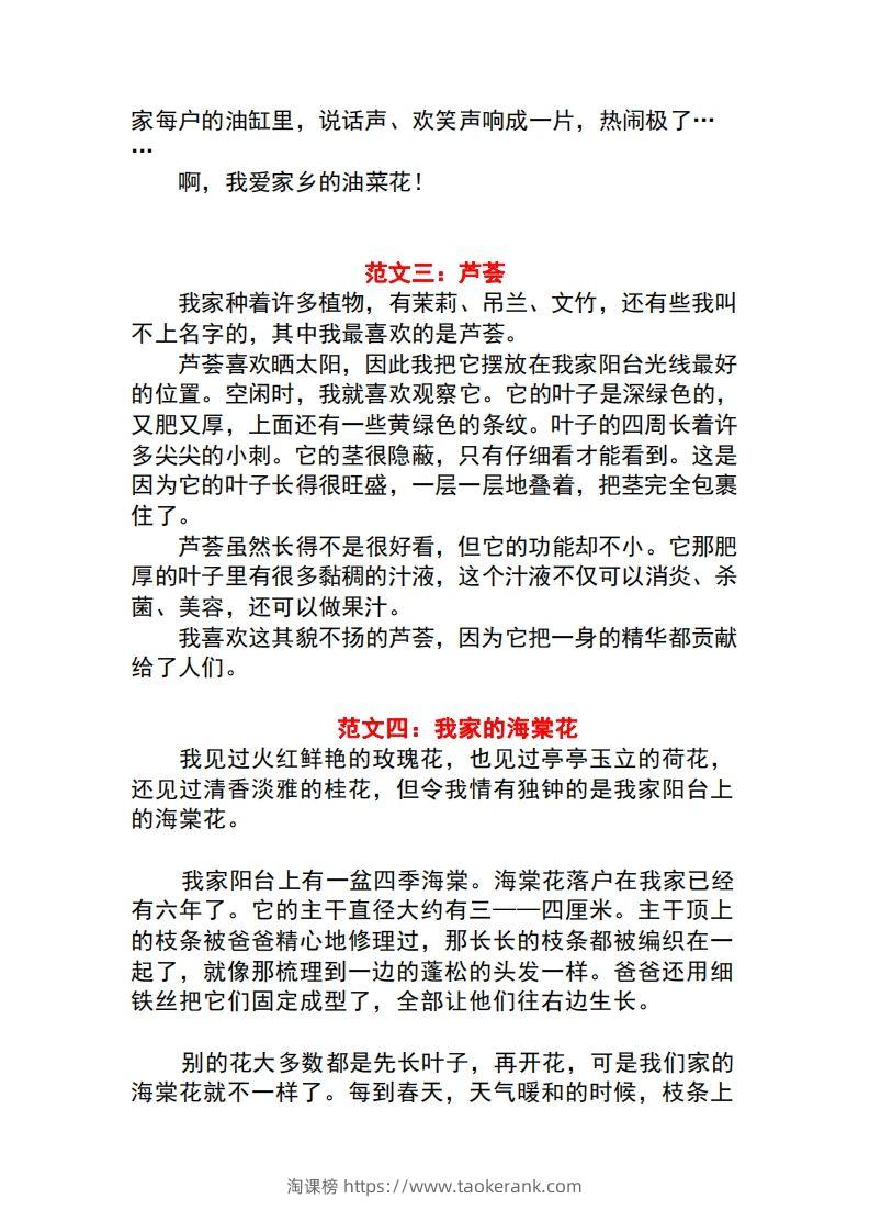图片[2]-三年级语文下册1-8单元作文范文-淘课榜