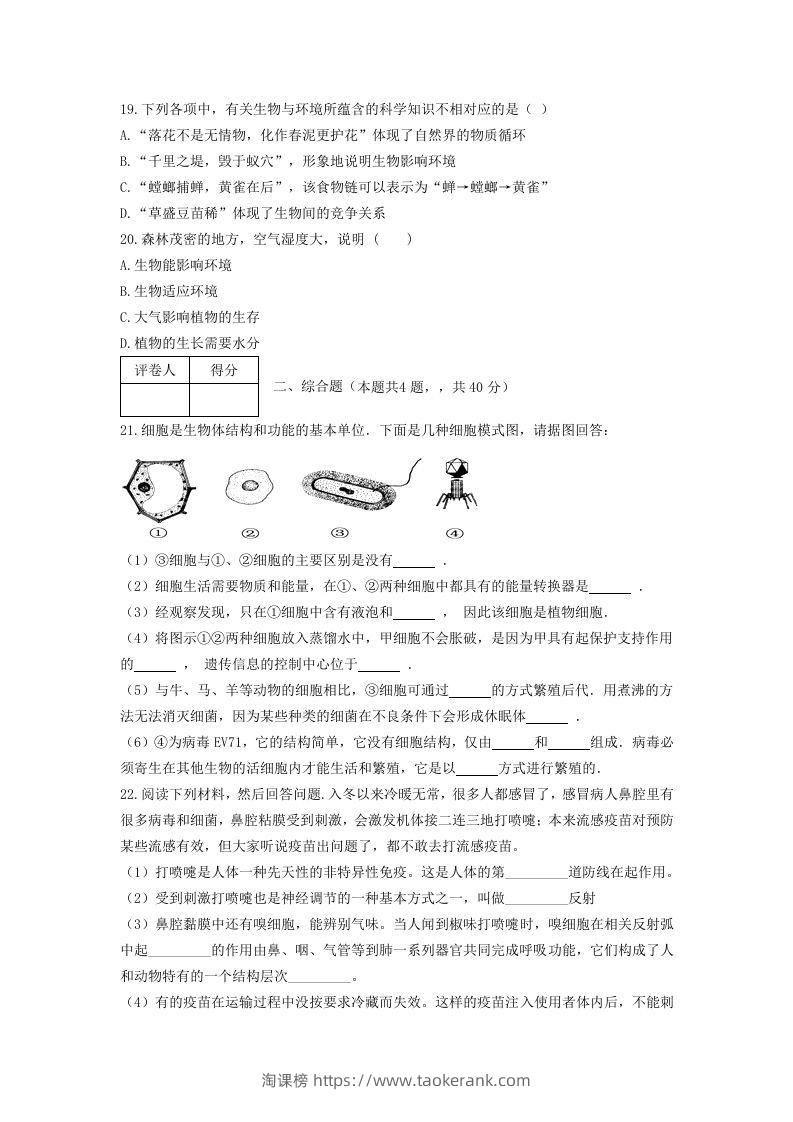 图片[3]-七年级上册生物第一次月考试卷及答案(Word版)-淘课榜
