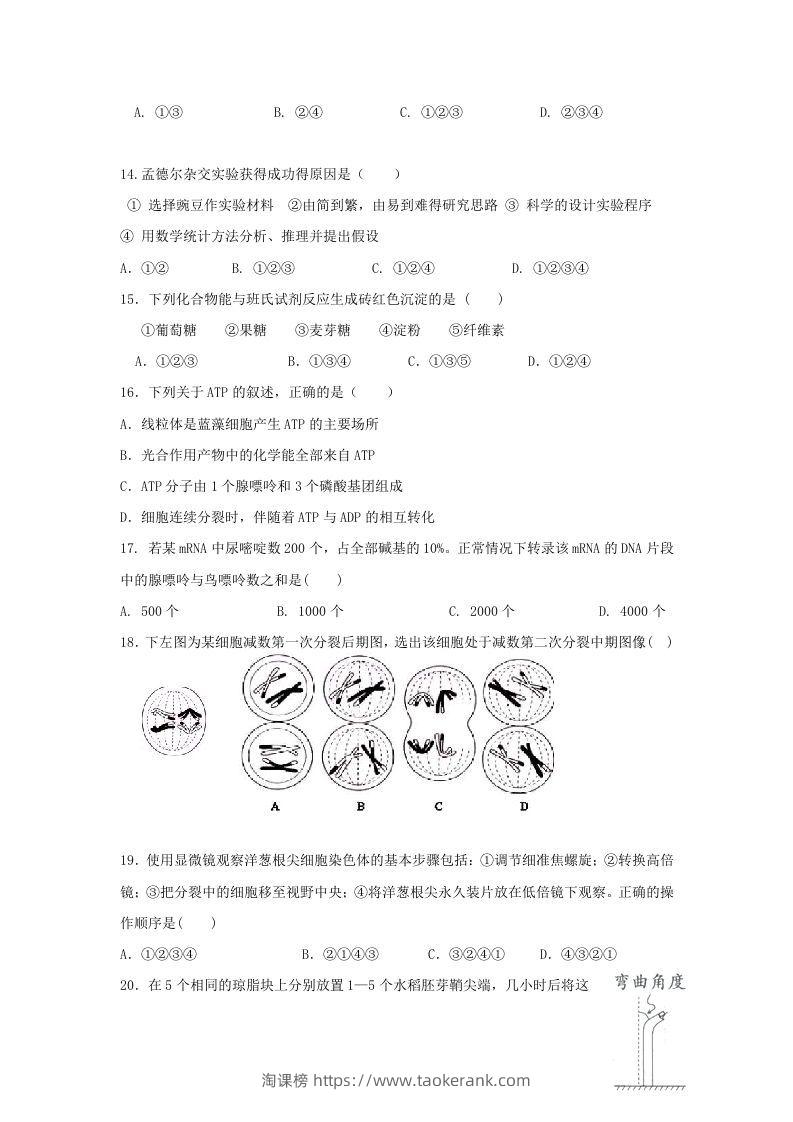 图片[3]-2010年上海高三部分重点中学二次联考生物真题及答案(Word版)-淘课榜