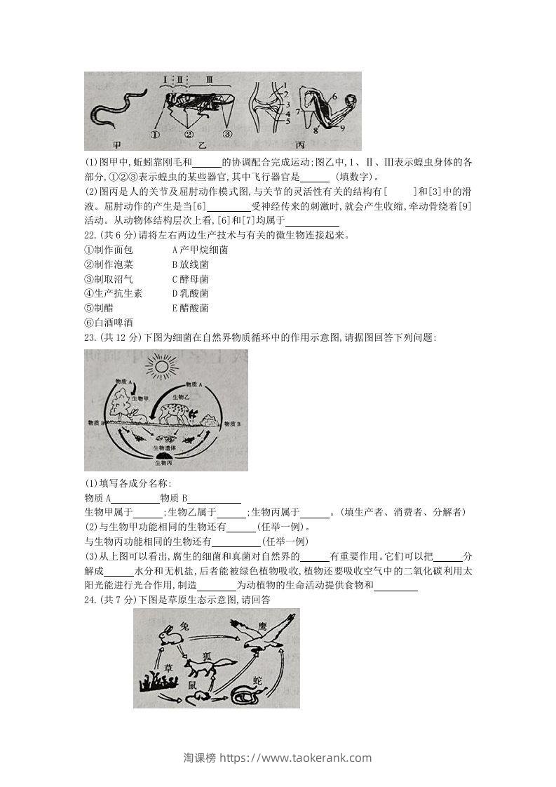 图片[3]-2020-2021学年河南省新乡市卫辉市八年级上学期期中生物试题及答案(Word版)-淘课榜