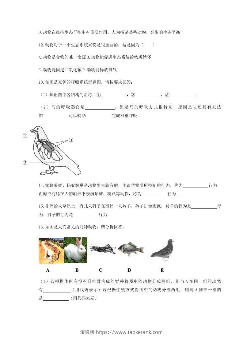 图片[3]-2020-2021学年湖北省黄冈市红安县八年级上学期期中生物试题及答案(Word版)-淘课榜