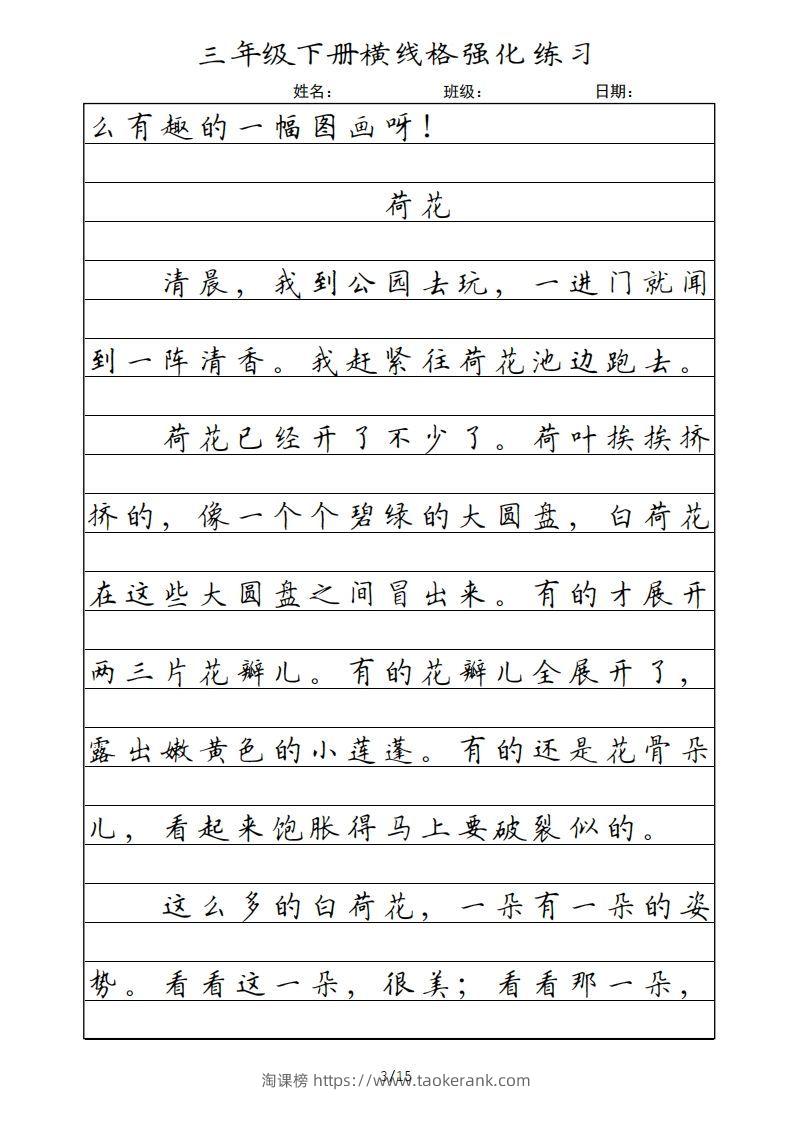 图片[3]-三年级语文下册横线格（部编版）-淘课榜