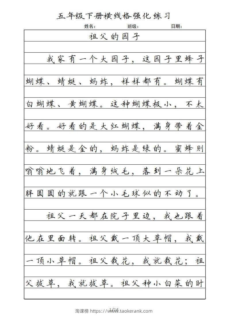 五年级语文下册横线格（部编版）-淘课榜