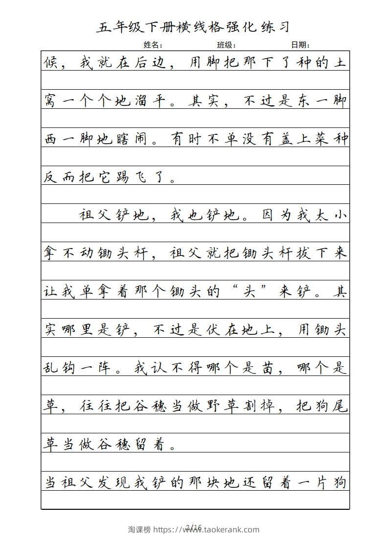 图片[2]-五年级语文下册横线格（部编版）-淘课榜