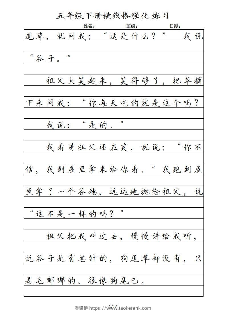 图片[3]-五年级语文下册横线格（部编版）-淘课榜