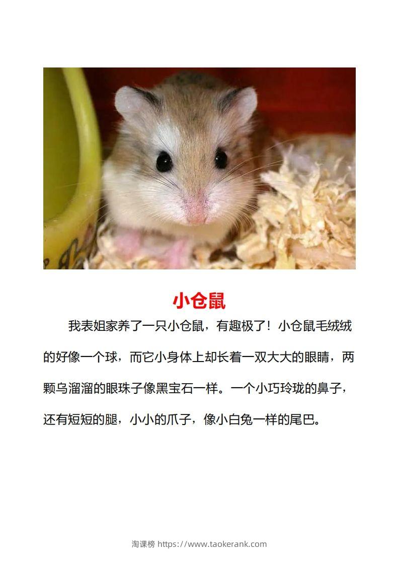 图片[2]-二年级上册语文口语交际一“有趣的动物”指导及范文-淘课榜