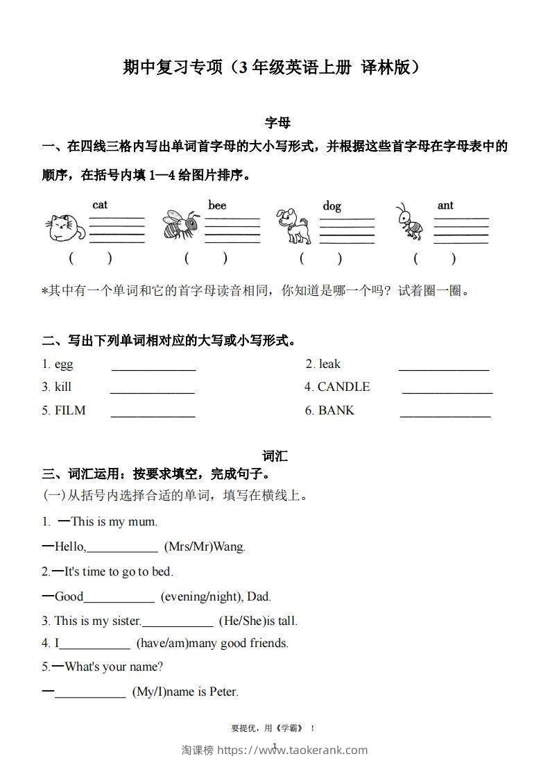 期中复习专项（三上英语译林版）-淘课榜