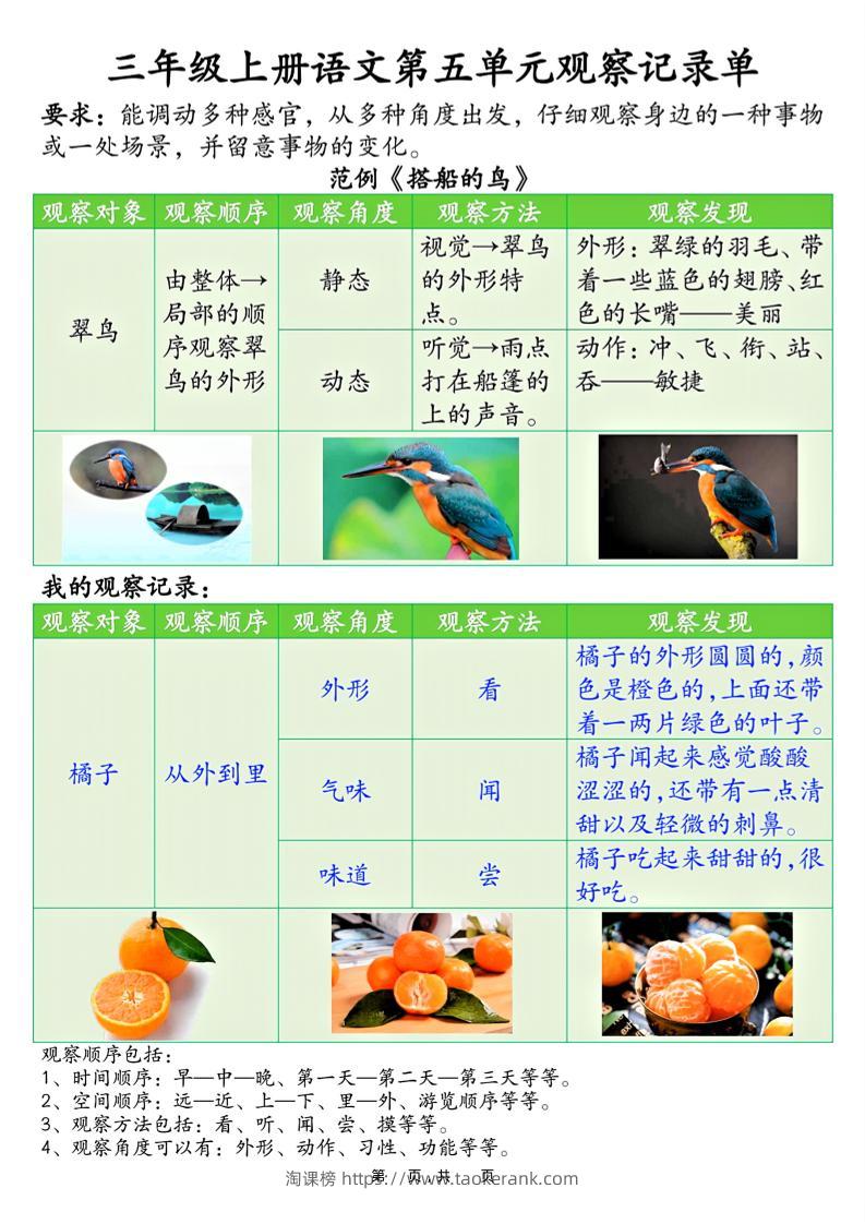 三上语文第五单元观察记录单（空白+答案14页）-淘课榜